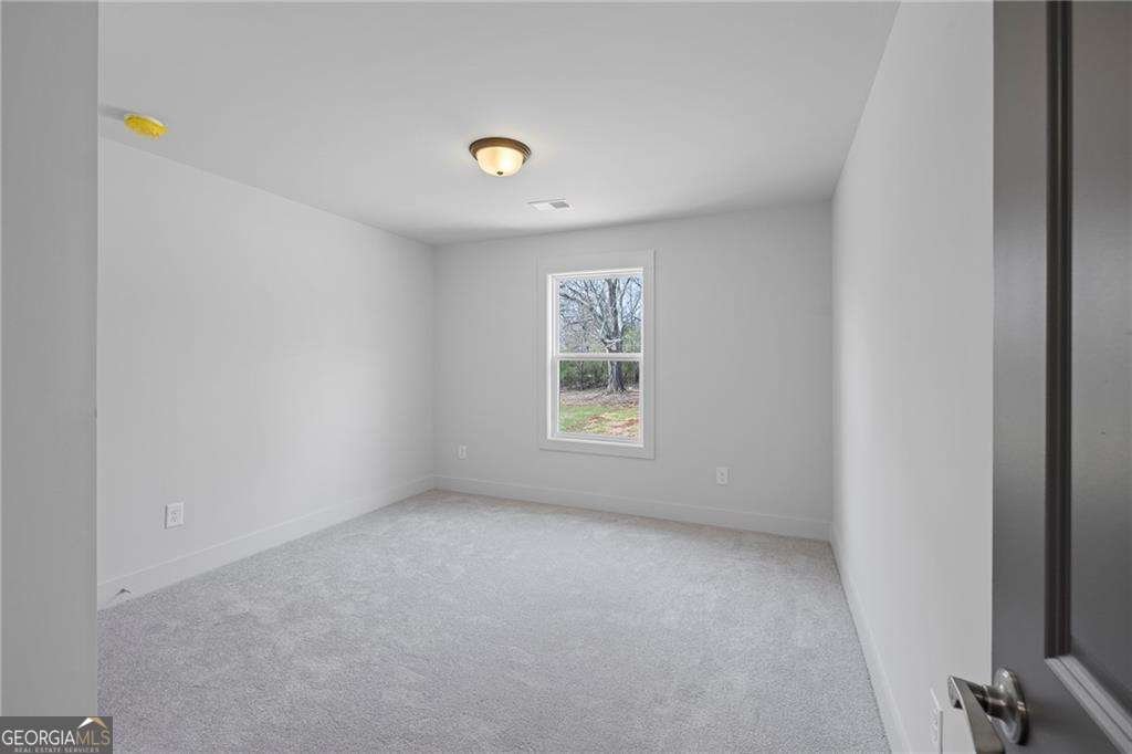 115 Blue Rider Trail Hoschton - 34