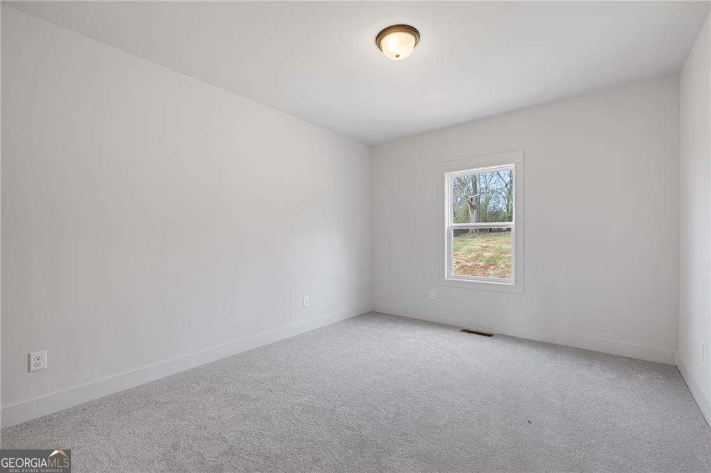 115 Blue Rider Trail Hoschton - 38