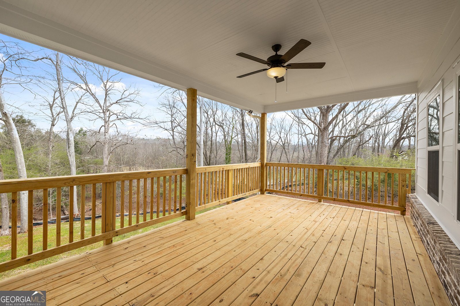 171 Blue Rider Trail Hoschton - 11