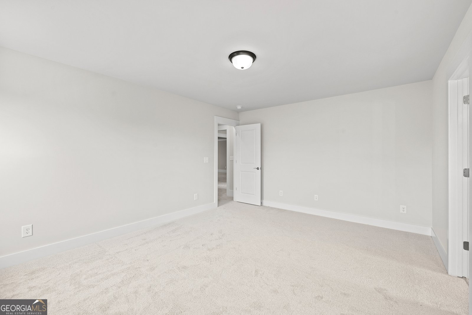 171 Blue Rider Trail Hoschton - 2
