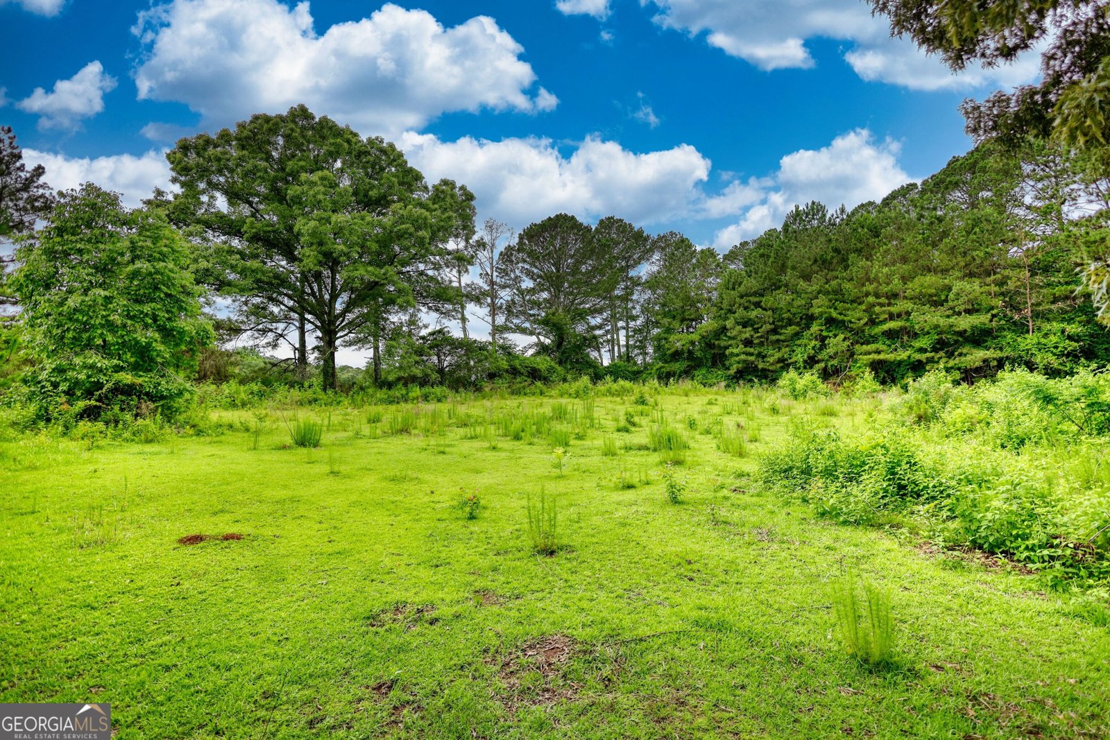 1277 Bethany Road Covington - 10