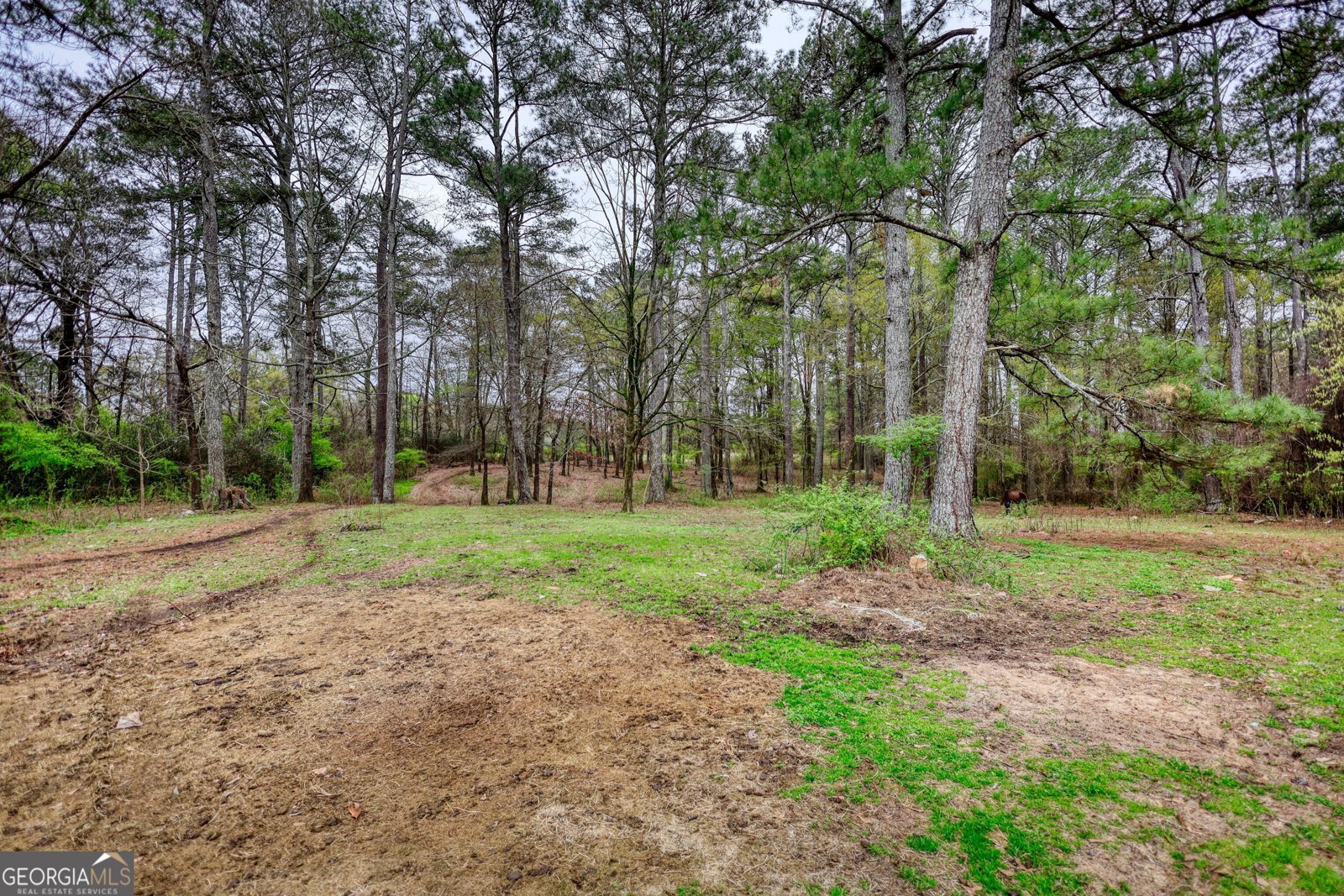 1277 Bethany Road Covington - 57