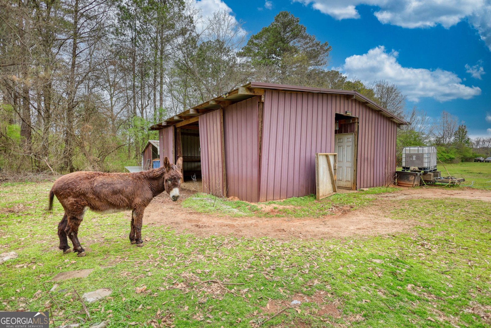 1277 Bethany Road Covington - 6