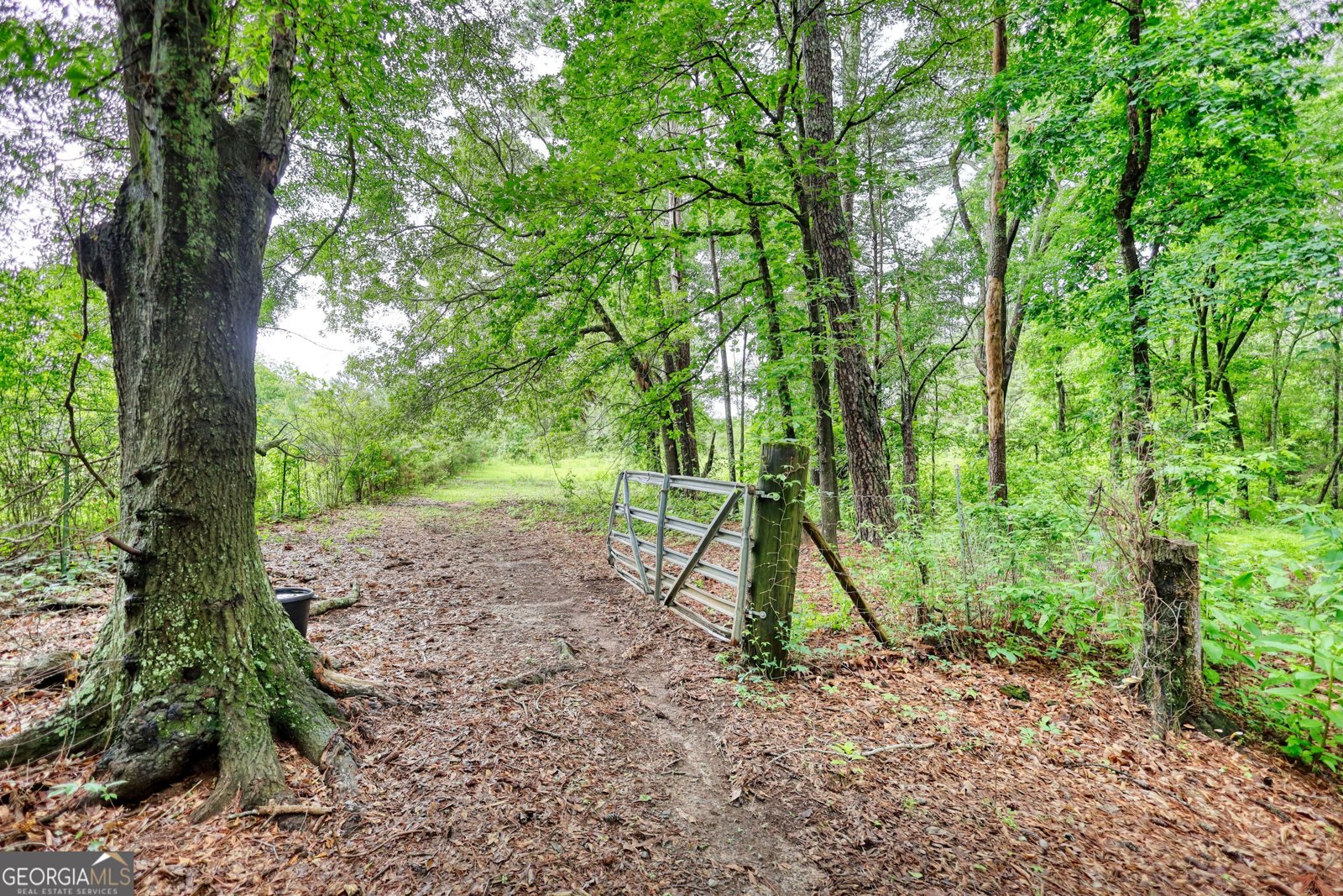1277 Bethany Road Covington - 68