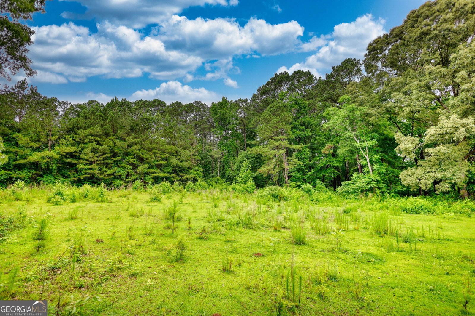 1277 Bethany Road Covington - 69