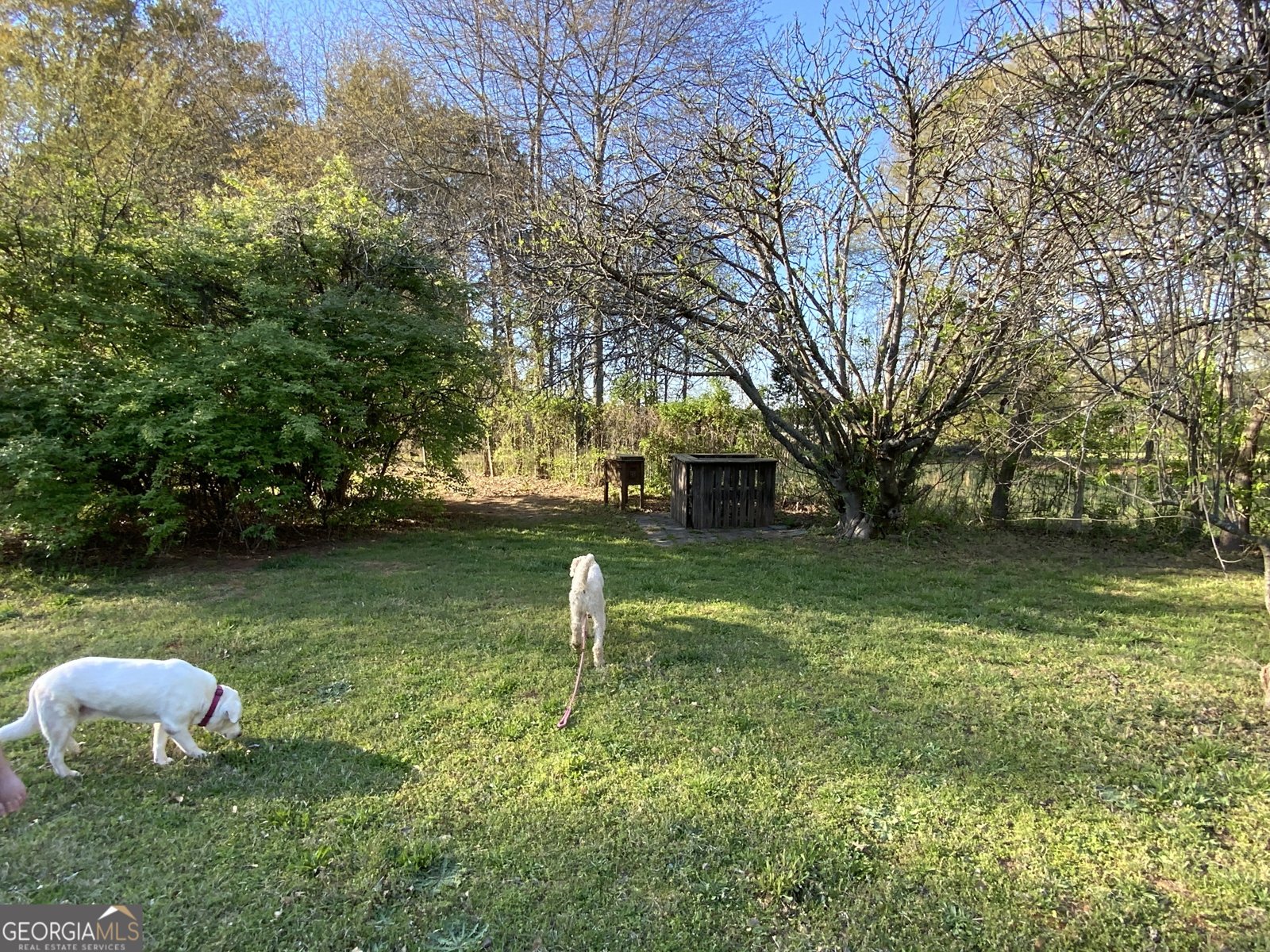 2790 Old Farmington Road Watkinsville - 43