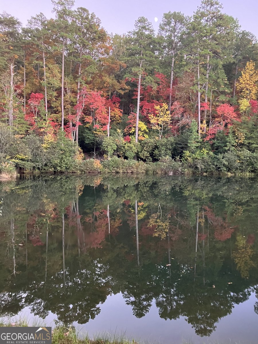 404 Golden Delicious Road Clarkesville - 112