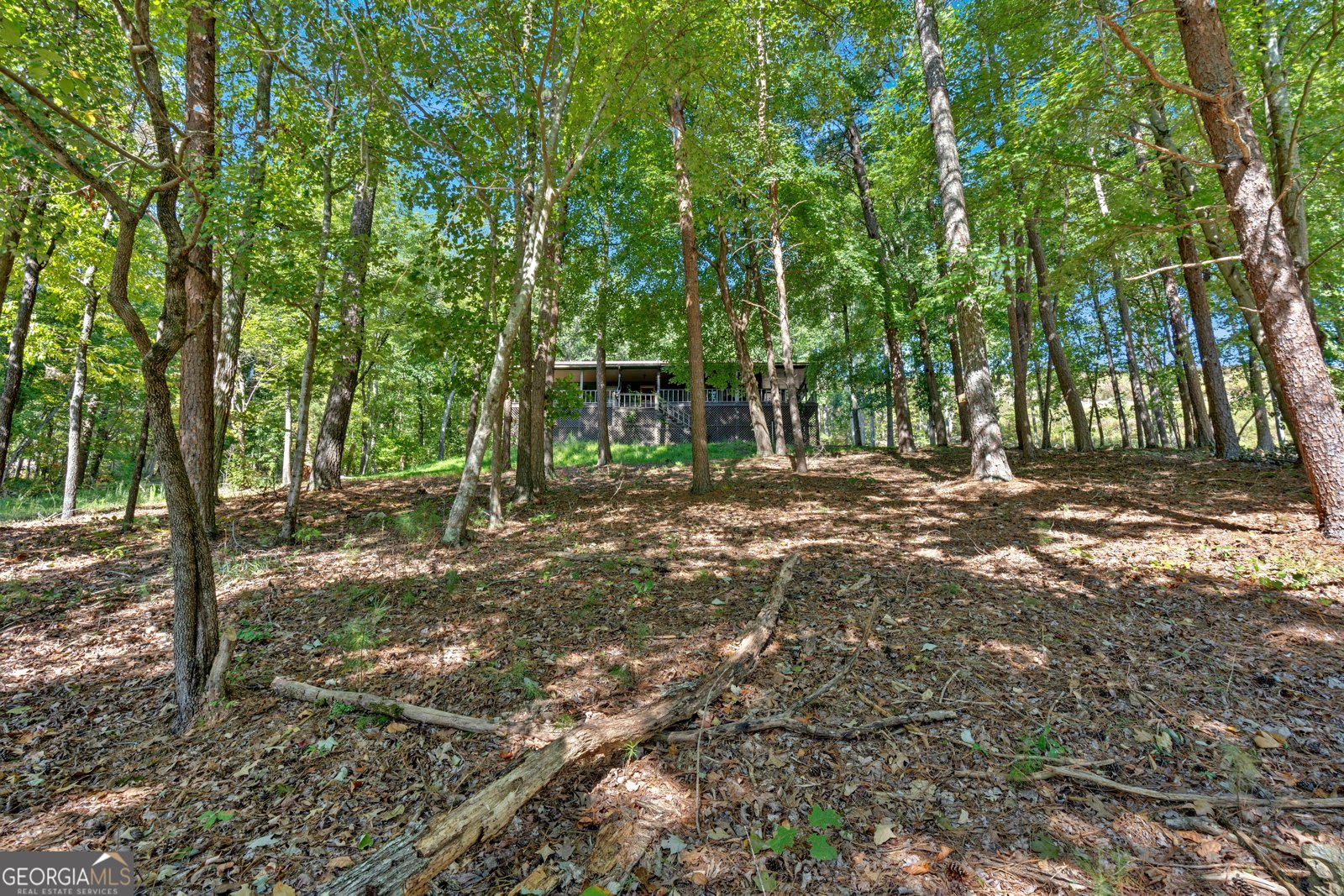 1825 Big Texas Valley Road Rome - 3