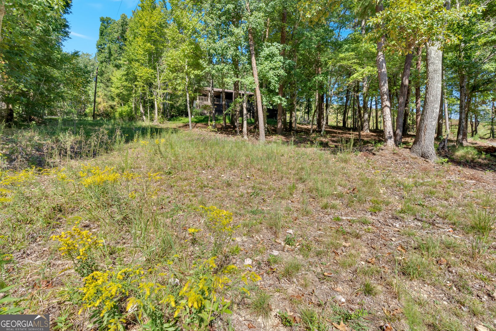 1825 Big Texas Valley Road Rome - 35