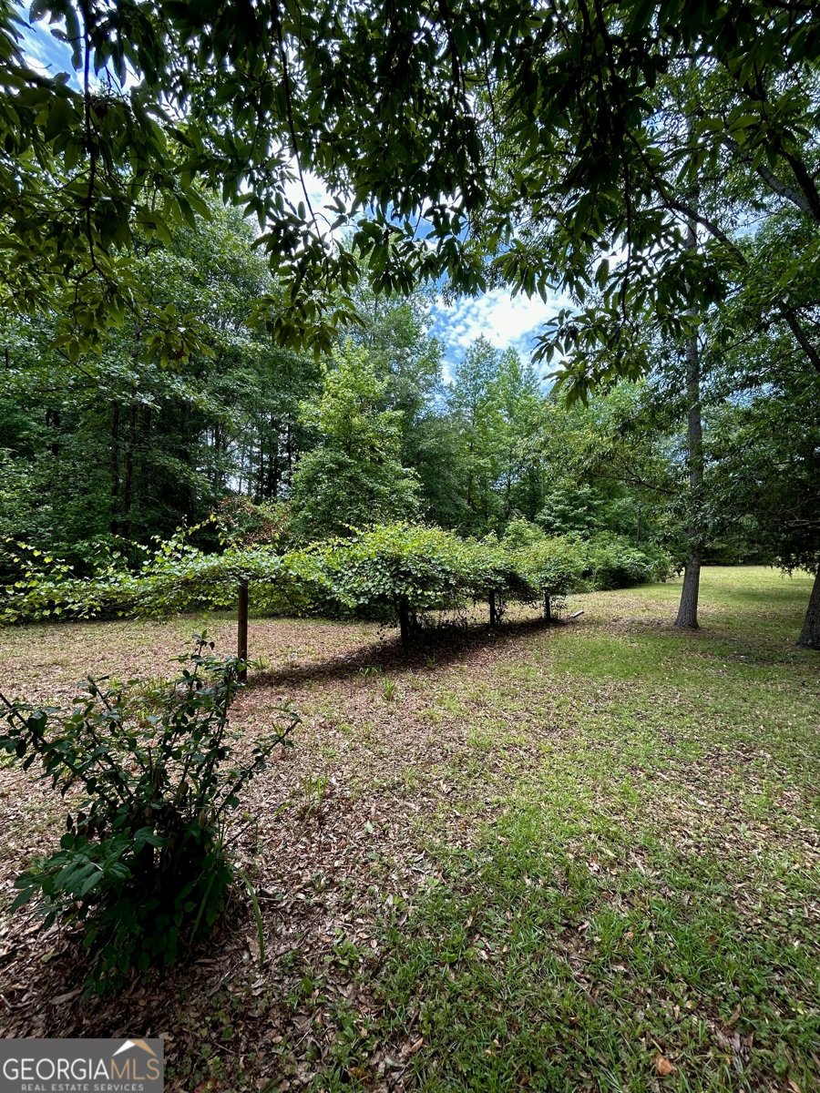 281 New Hope Drive McDonough - 9