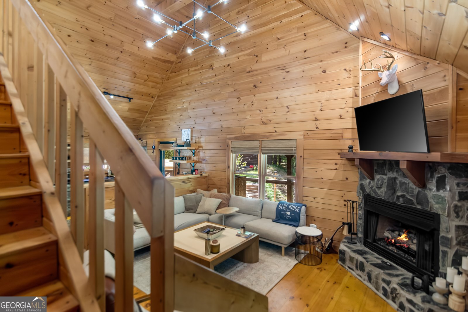16 Toccoa Ridge Road Mineral Bluff - 4