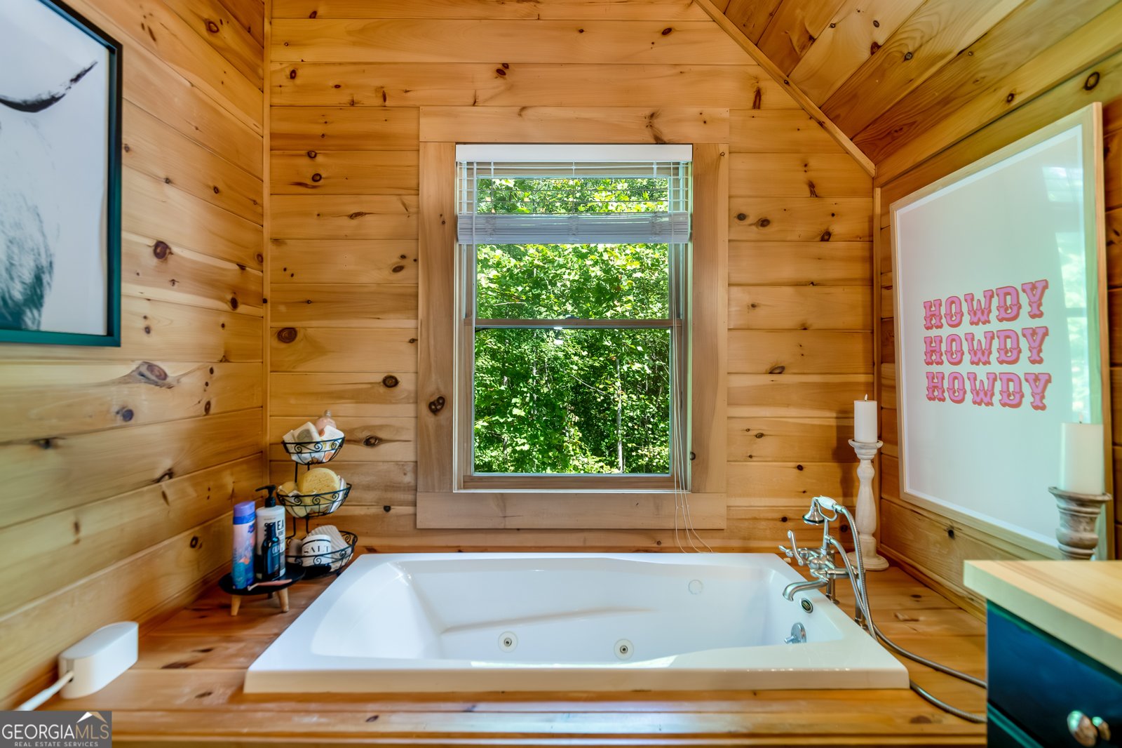16 Toccoa Ridge Road Mineral Bluff - 9