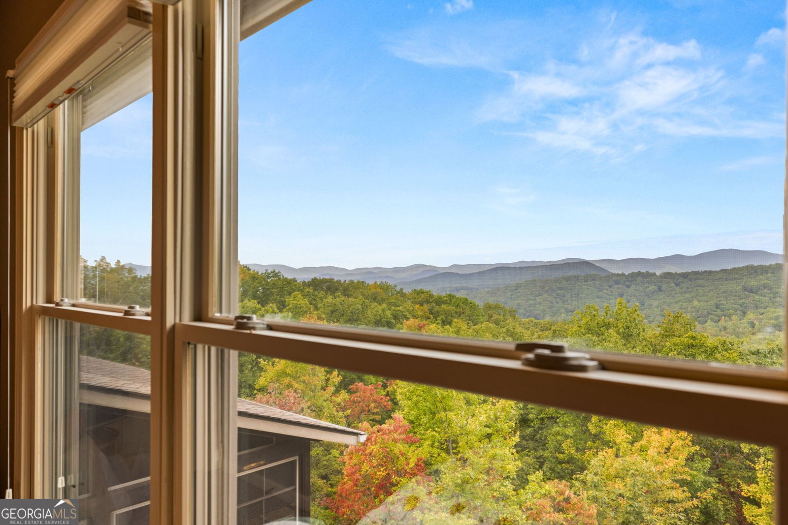 401 Starmont Trail Clarkesville - 22