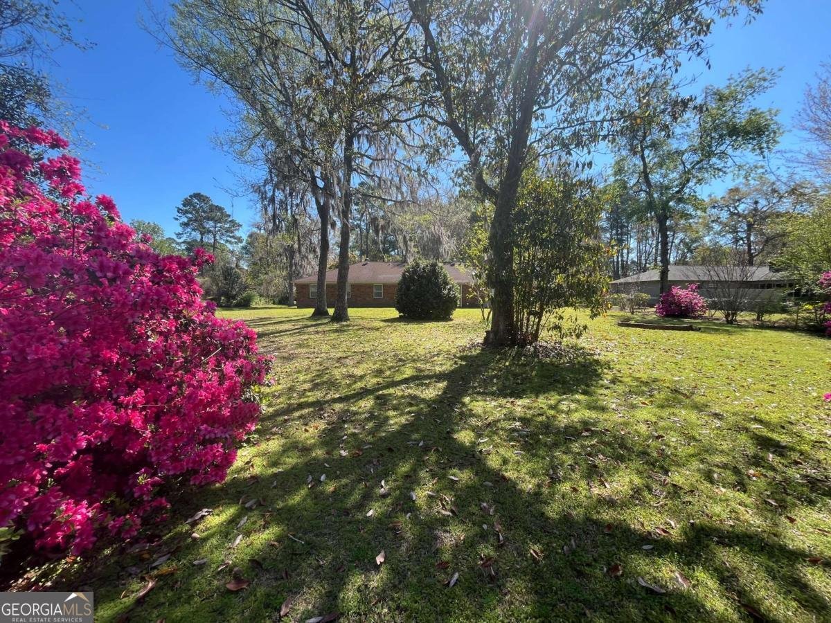 411 Woodland Drive Hinesville - 41