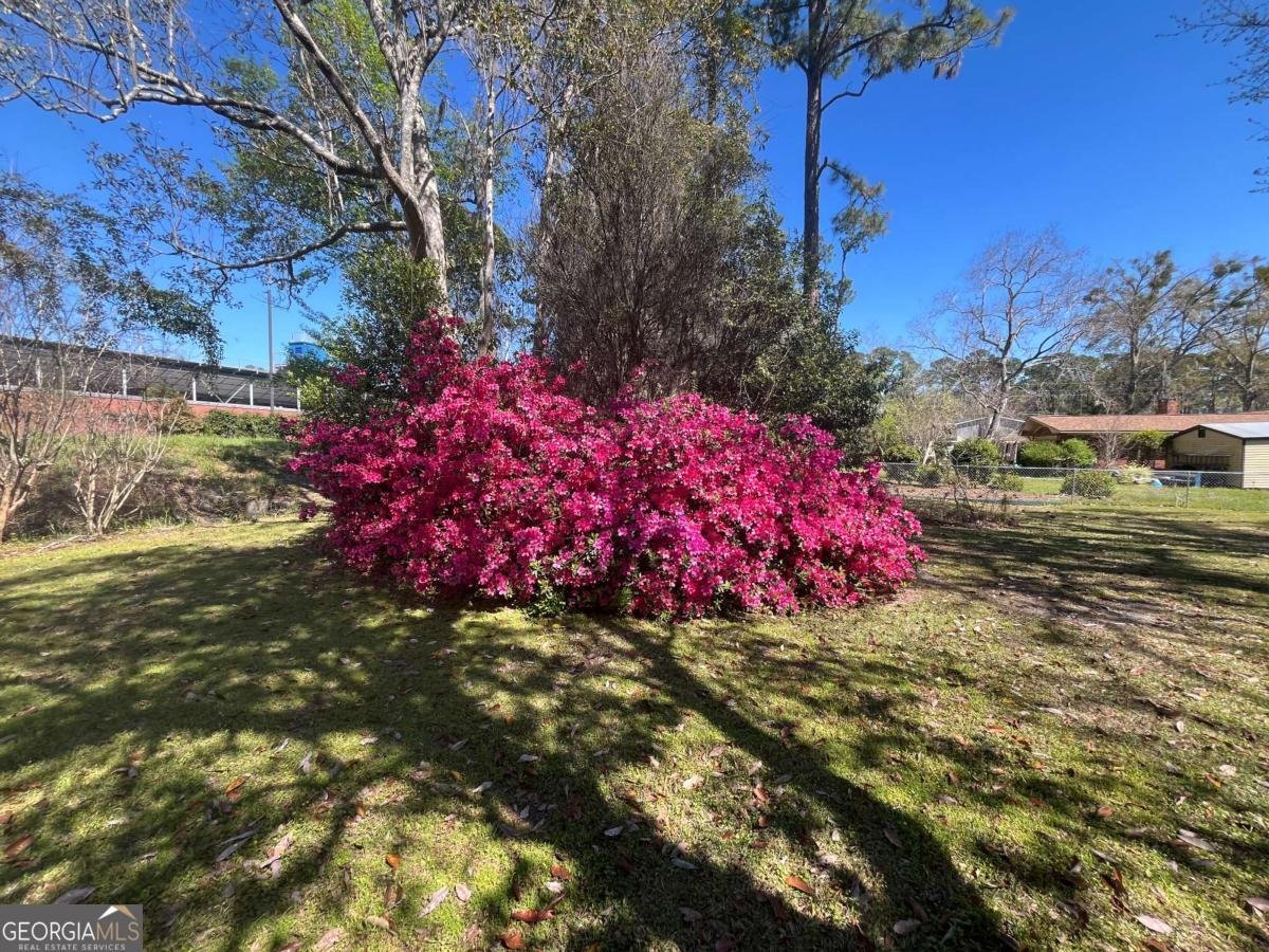411 Woodland Drive Hinesville - 43