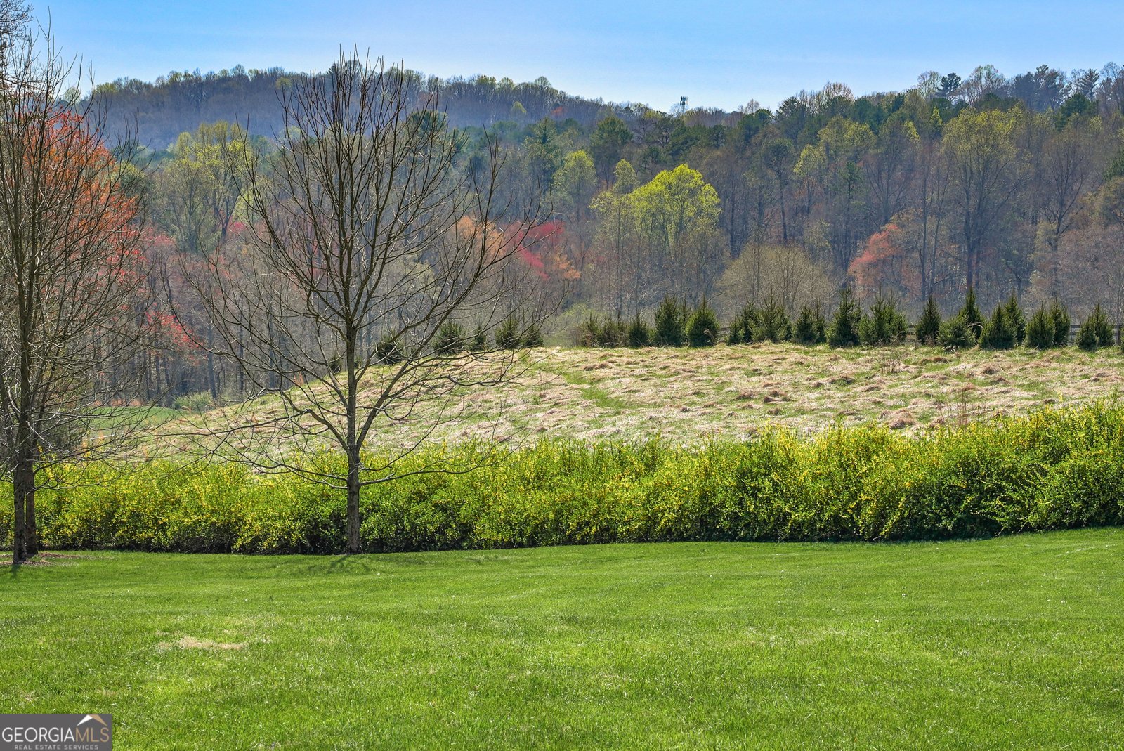 600 Meadowview Ridge Clarkesville - 27