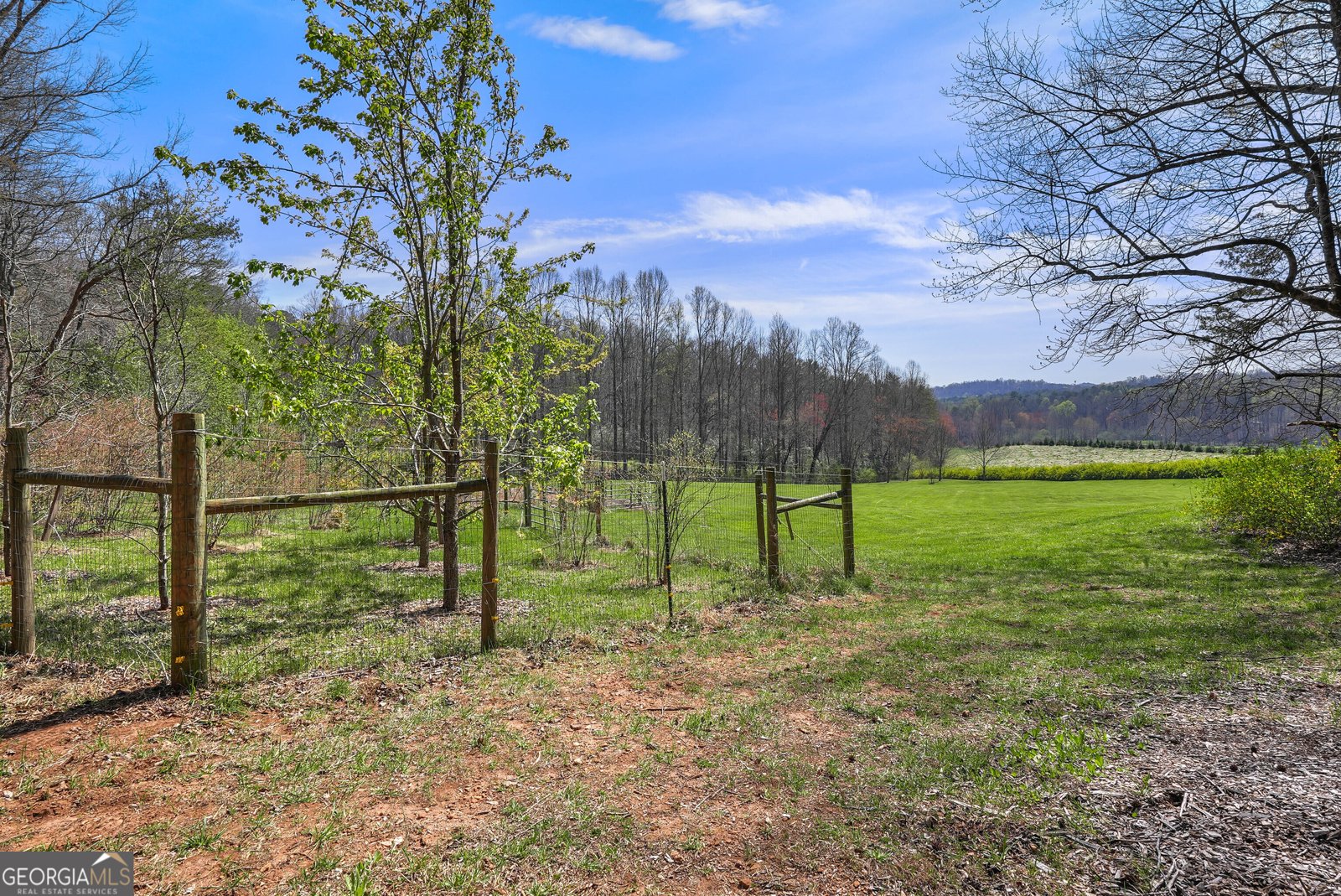 600 Meadowview Ridge Clarkesville - 48