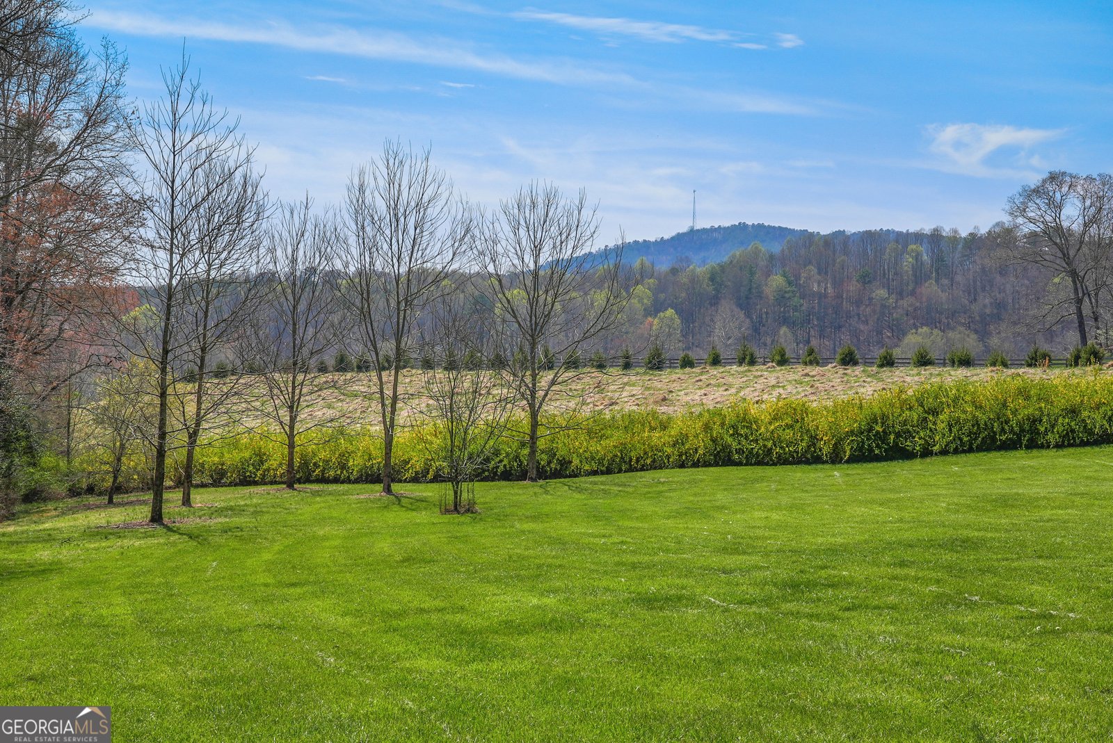600 Meadowview Ridge Clarkesville - 6