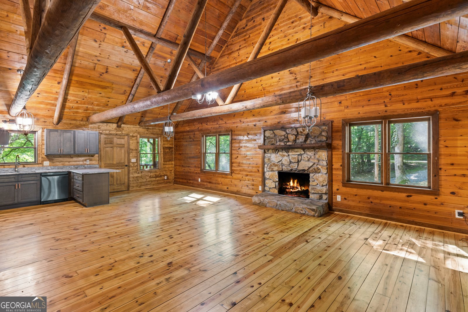 353 Cherokee Trail Ellijay - 11