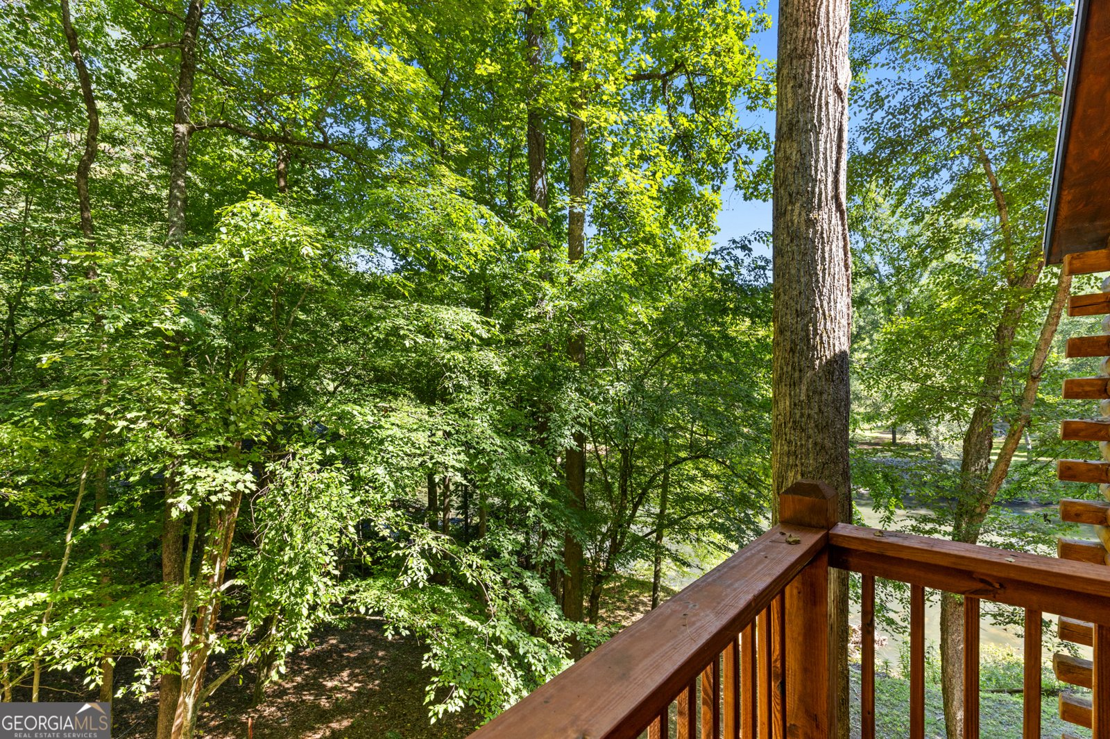 353 Cherokee Trail Ellijay - 23