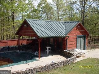 2969 Poplar Springs Road Buchanan - 4