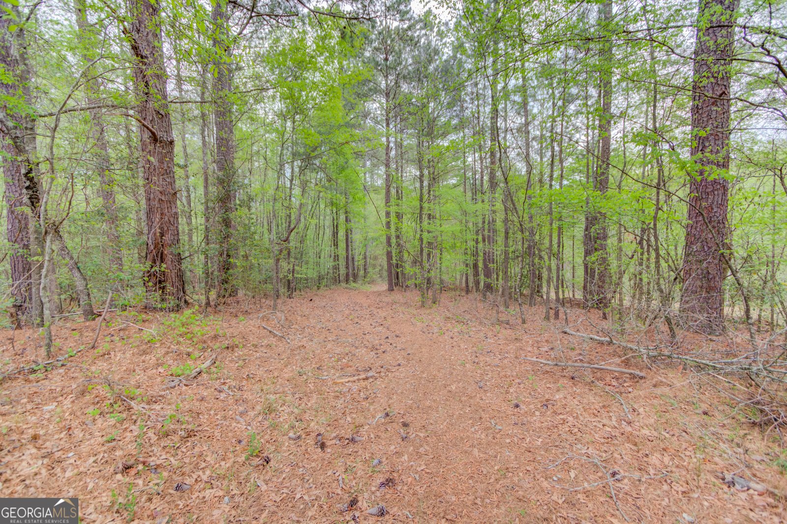 5040 Fawn Valley Drive Loganville - 17