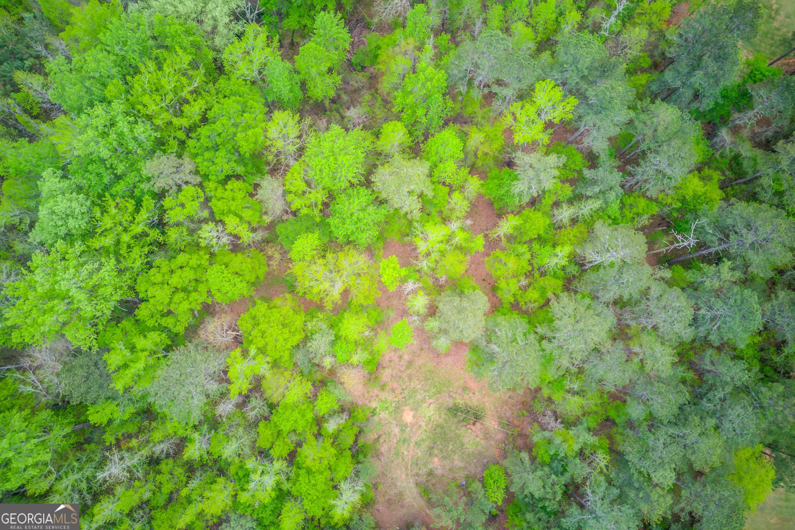 5040 Fawn Valley Drive Loganville - 19