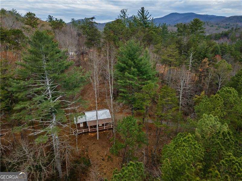 3185 Old Flat Branch Road Ellijay - 5