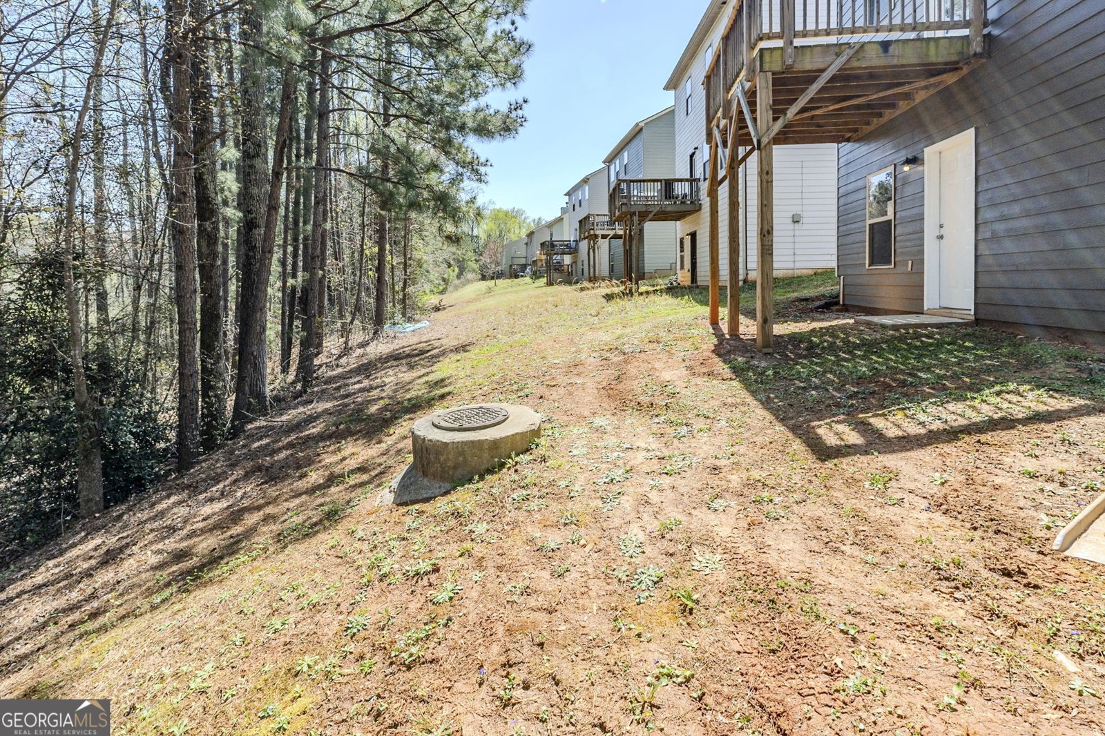 169 Parkview Place Drive Mcdonough - 29