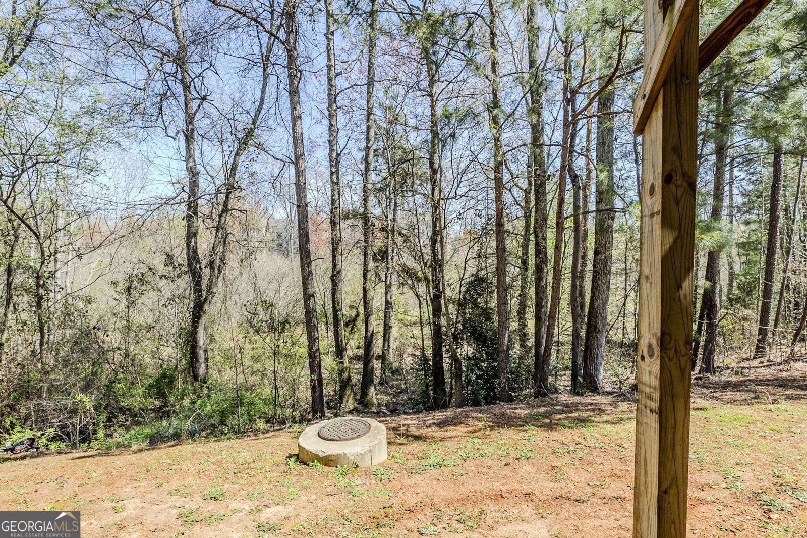 169 Parkview Place Drive Mcdonough - 30