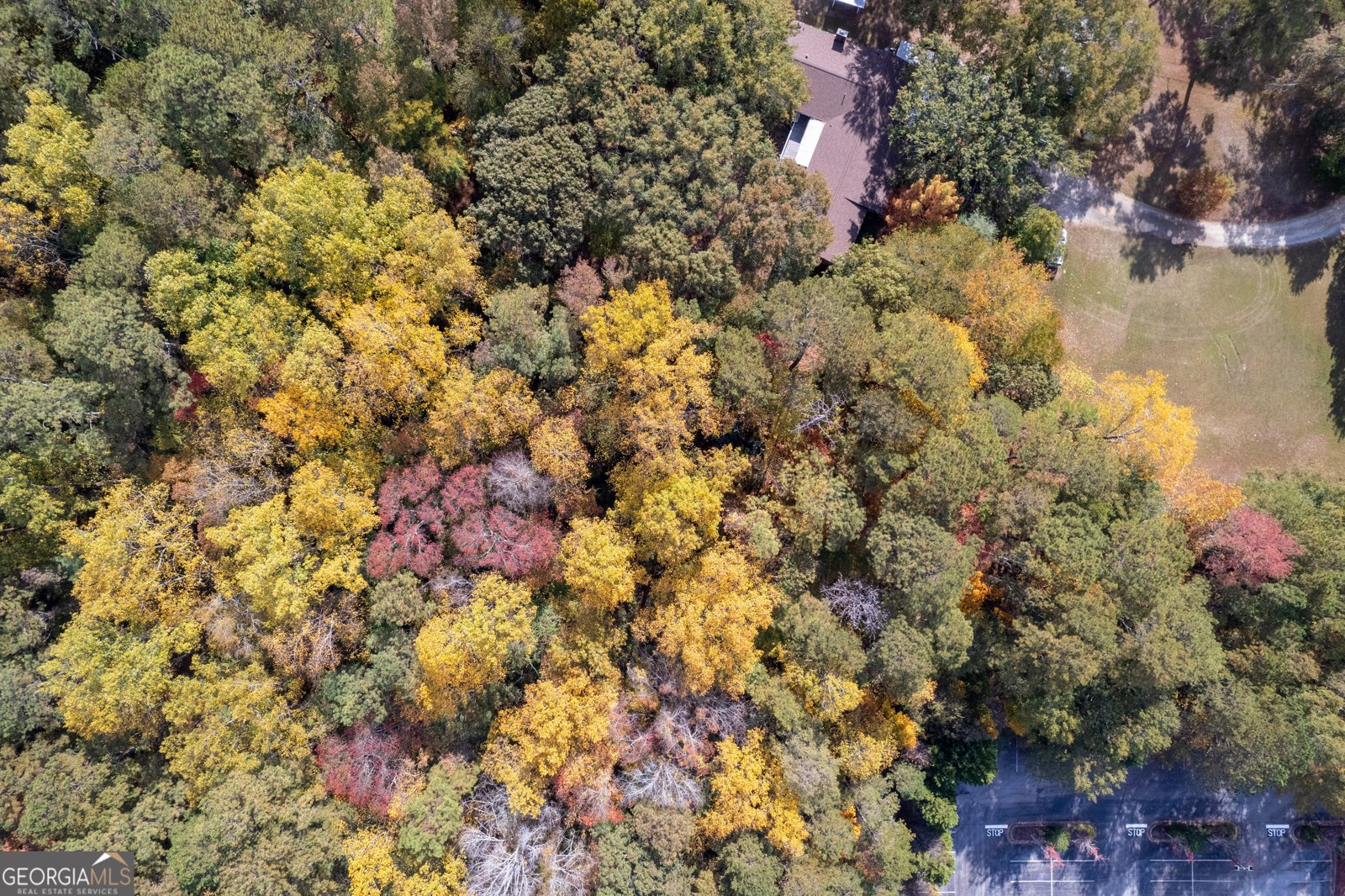 157 New Hope Road Fayetteville - 1