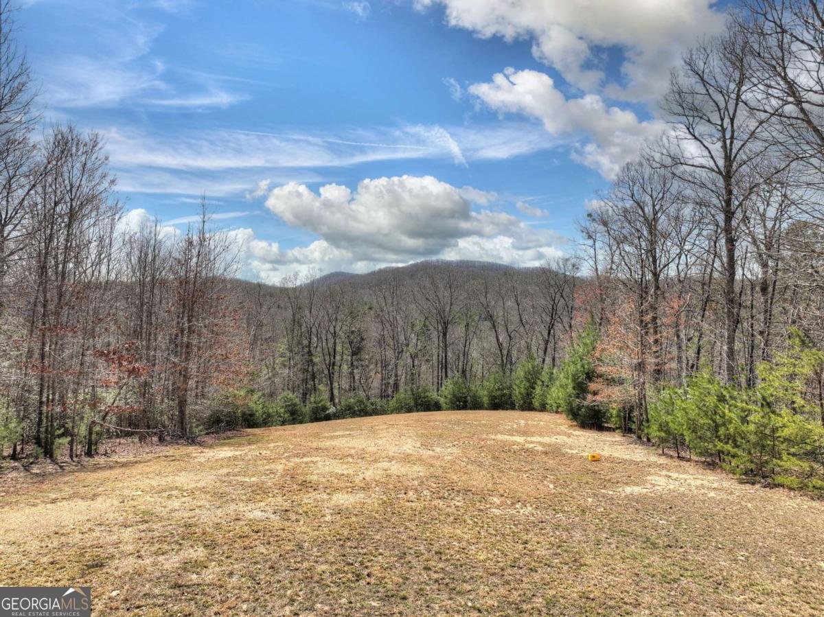 509 Wisteria Lane Morganton - 88