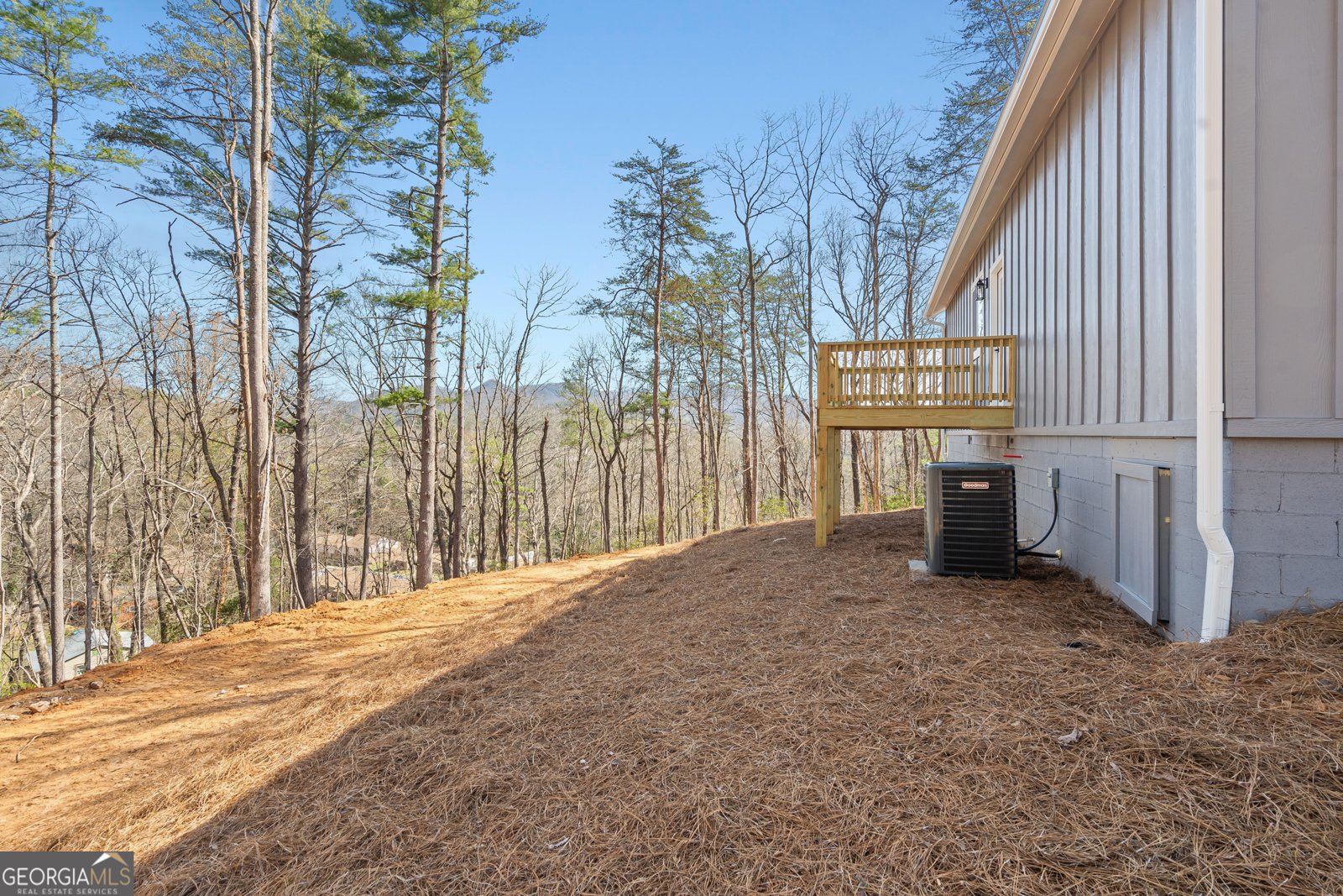 167 Travelers Lane Clayton - 30