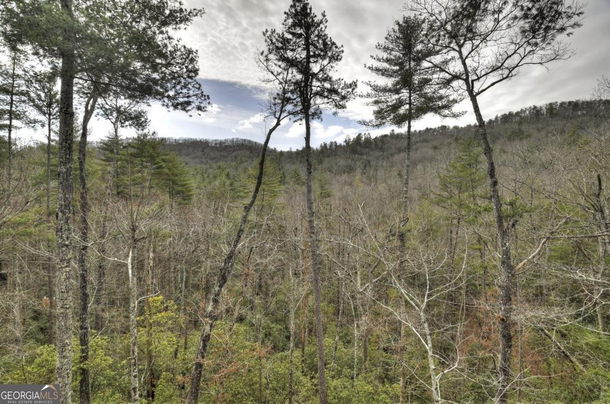 857 Harrison & Ada Road Blue Ridge - 42