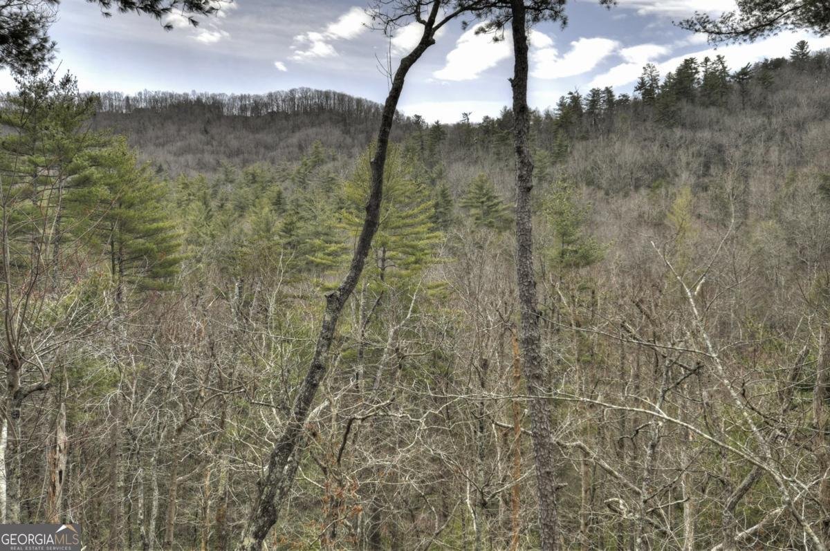 857 Harrison & Ada Road Blue Ridge - 43