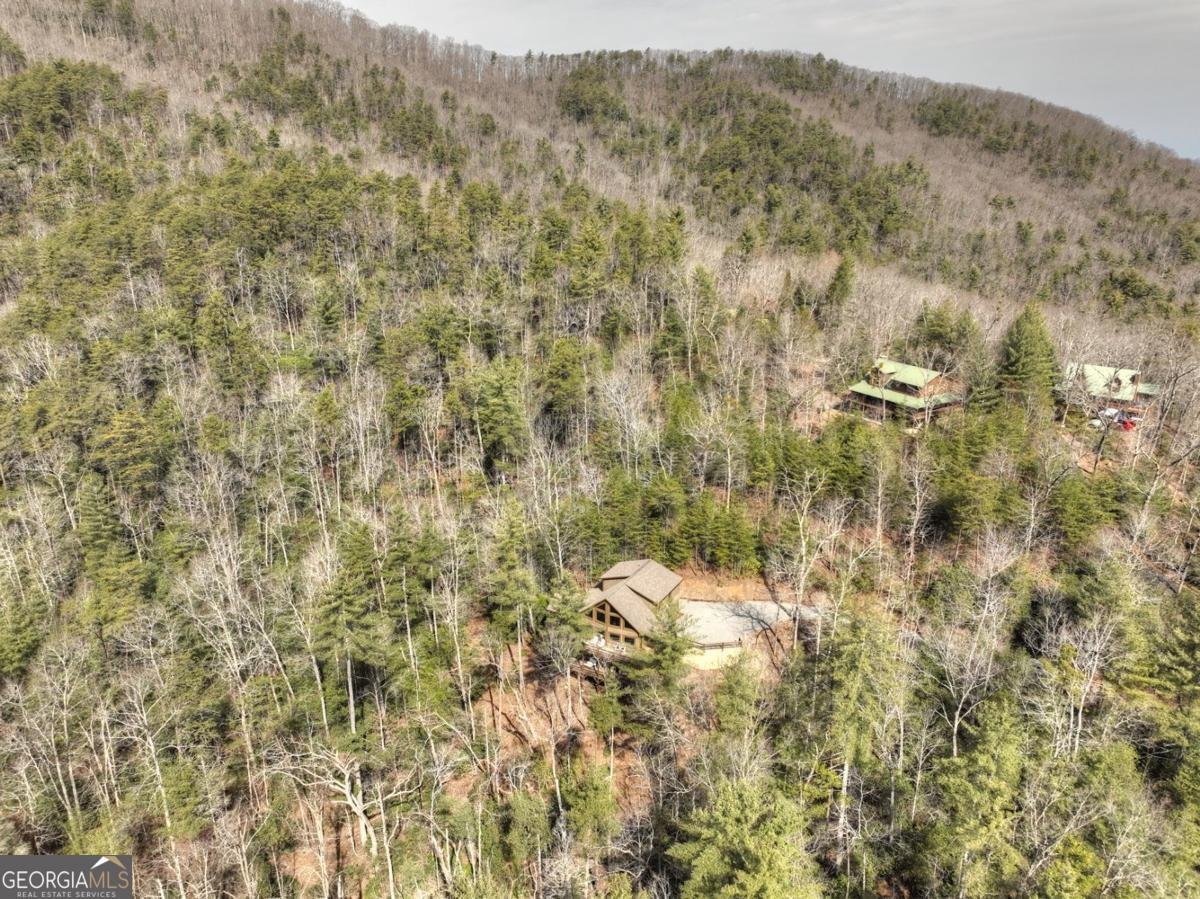 857 Harrison & Ada Road Blue Ridge - 45