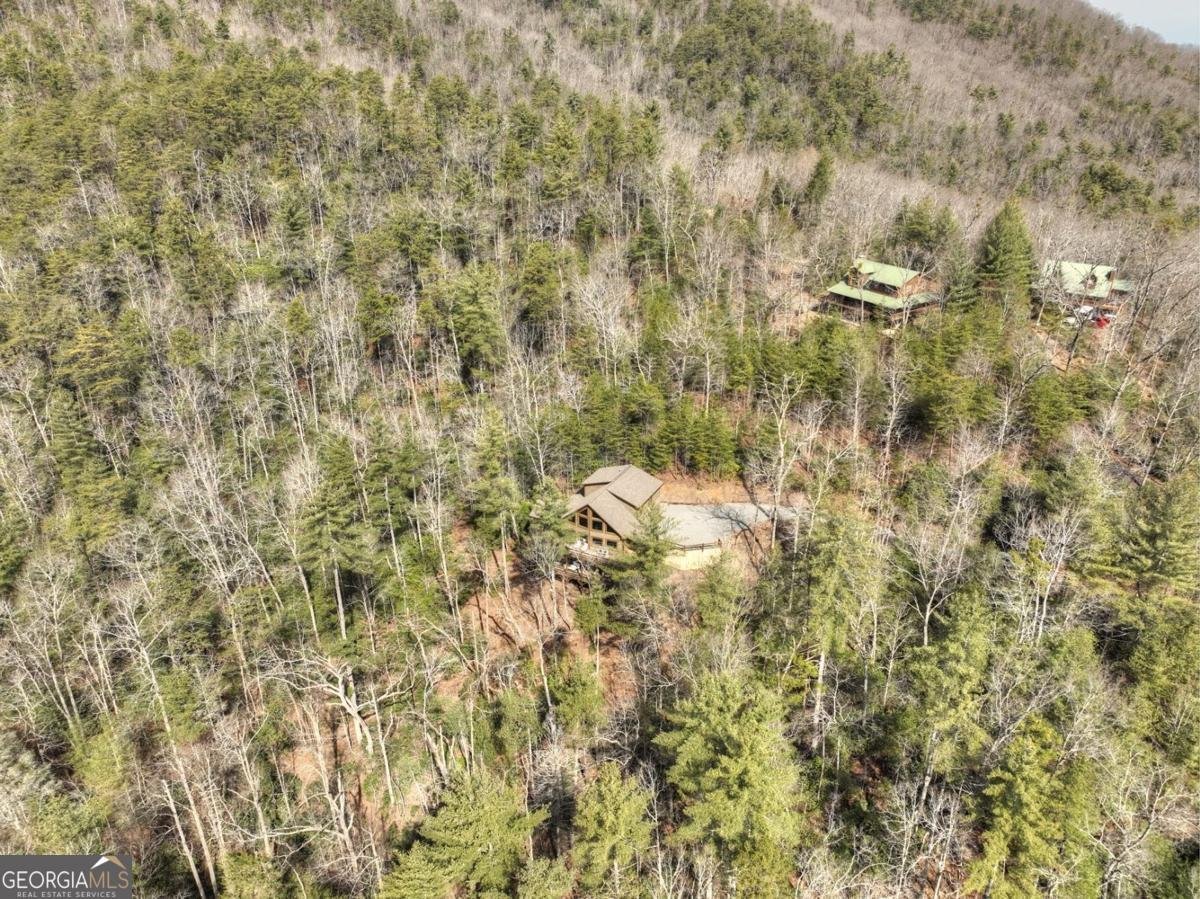 857 Harrison & Ada Road Blue Ridge - 46