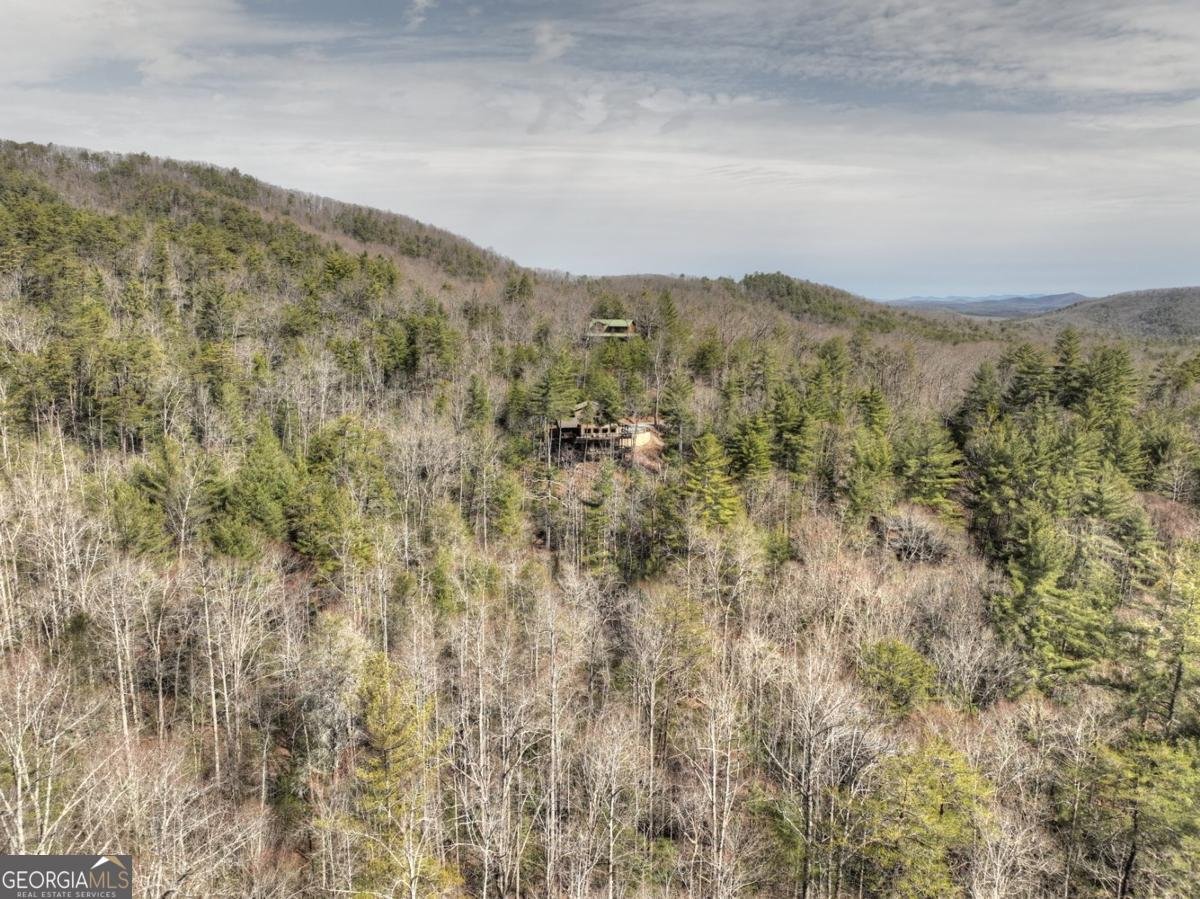 857 Harrison & Ada Road Blue Ridge - 49