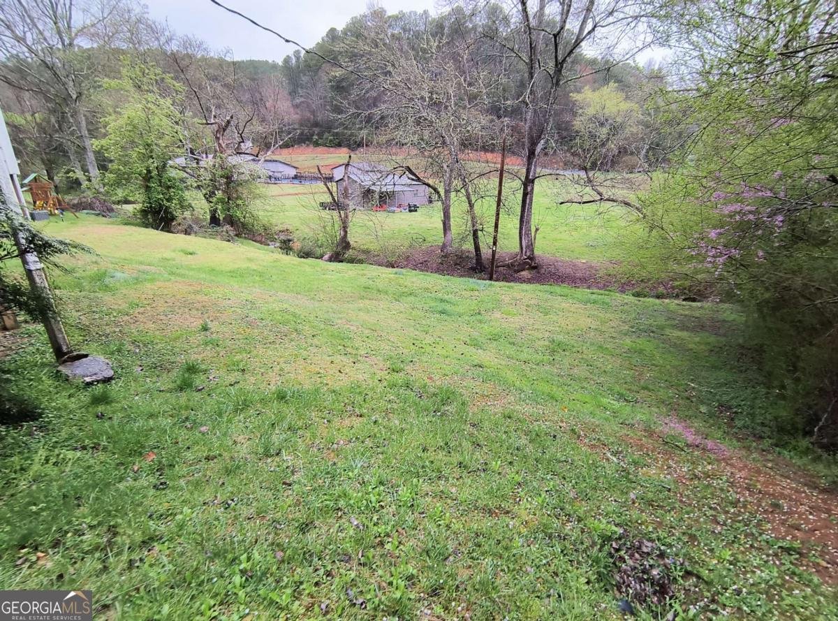 1149 Mineral Bluff Highway Mccaysville - 18