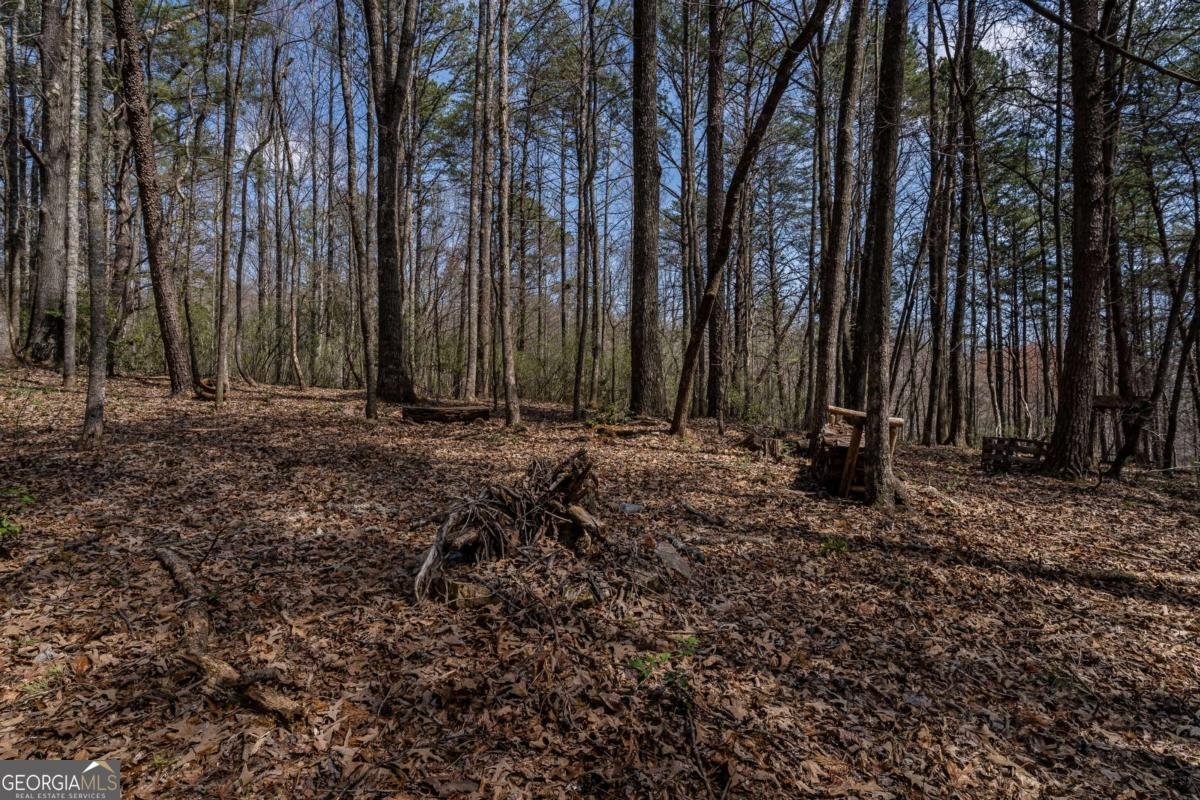 50 Barker Lane Morganton - 57