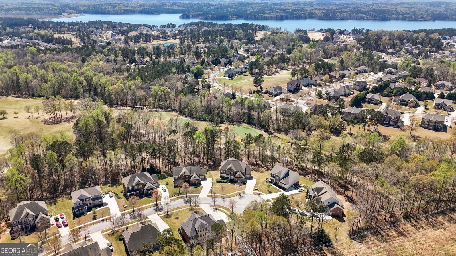 7090 Blue Sky Drive Locust Grove - 60