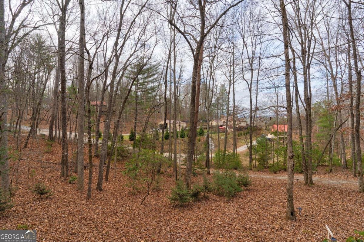 80 Treetop Lane Blairsville - 30