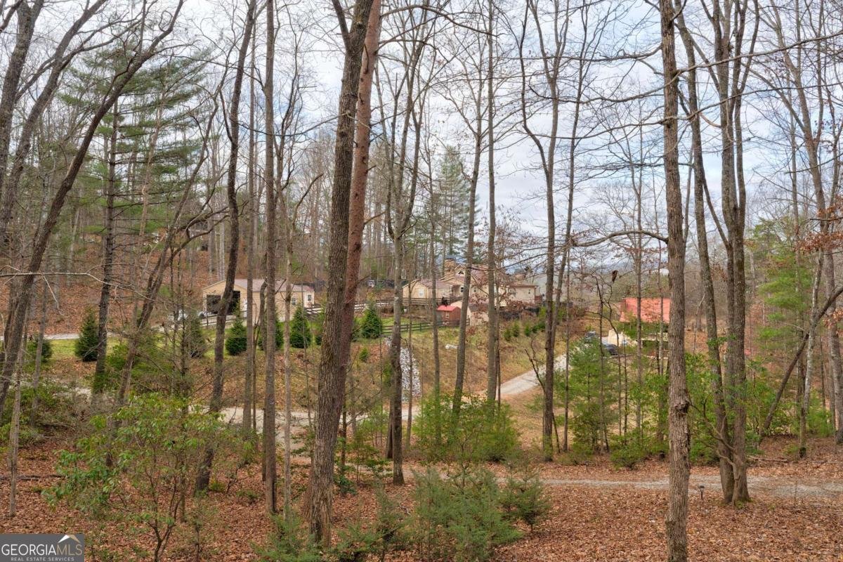 80 Treetop Lane Blairsville - 31