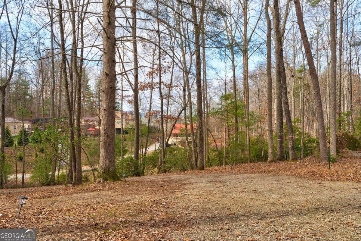 80 Treetop Lane Blairsville - 39