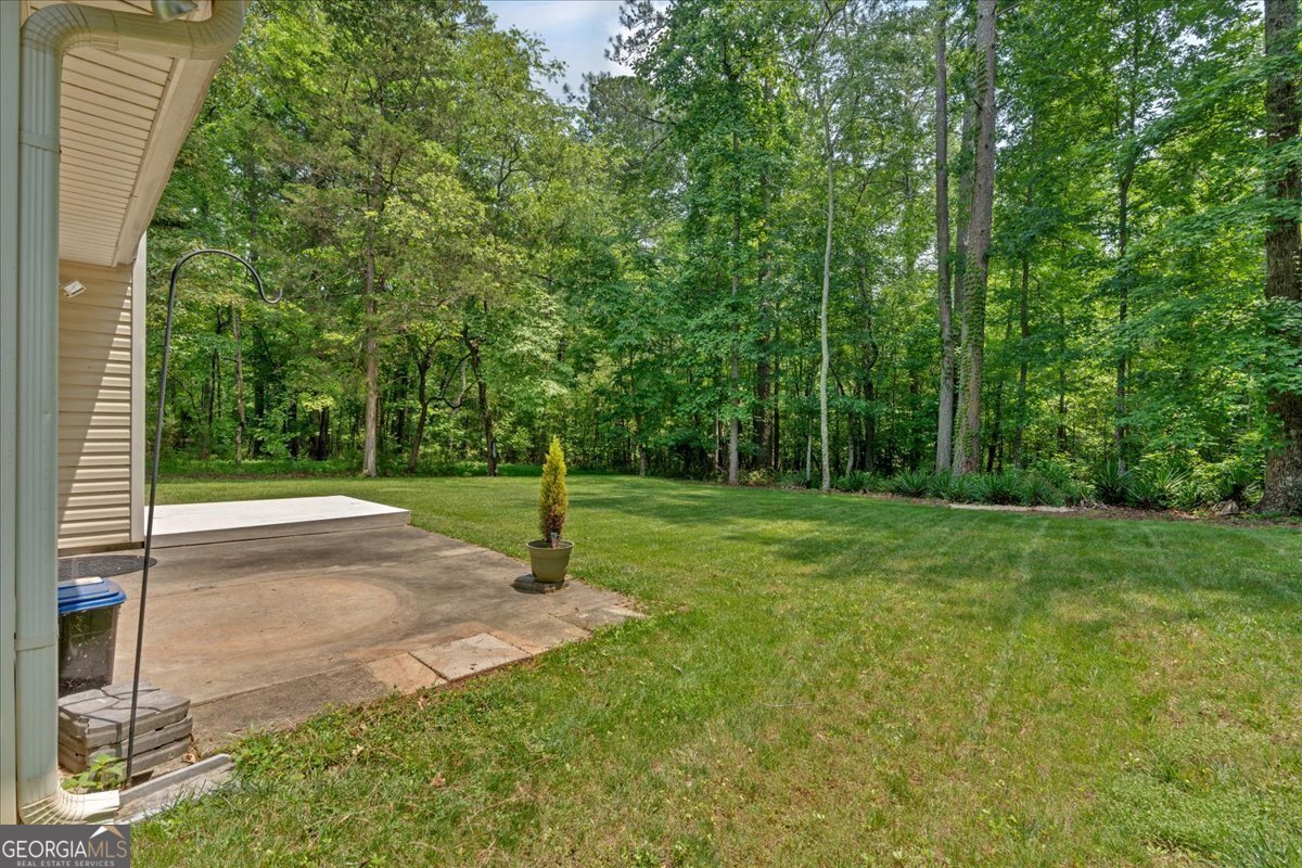 8166 Pine Cone Drive Villa Rica - 42