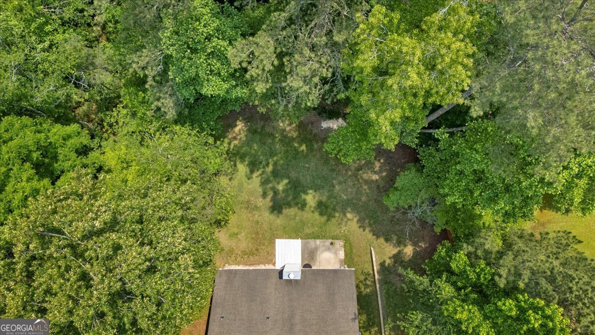 8166 Pine Cone Drive Villa Rica - 49