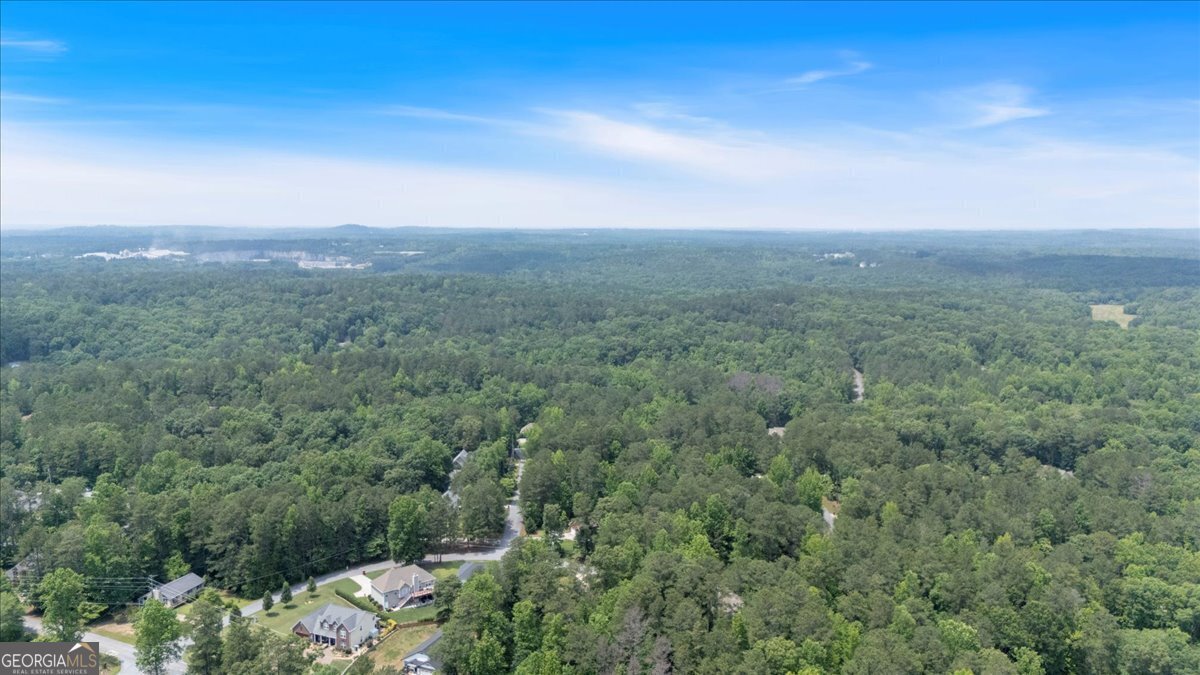8166 Pine Cone Drive Villa Rica - 54