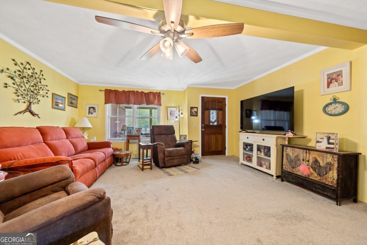 234 Railroad Street Toomsboro - 14