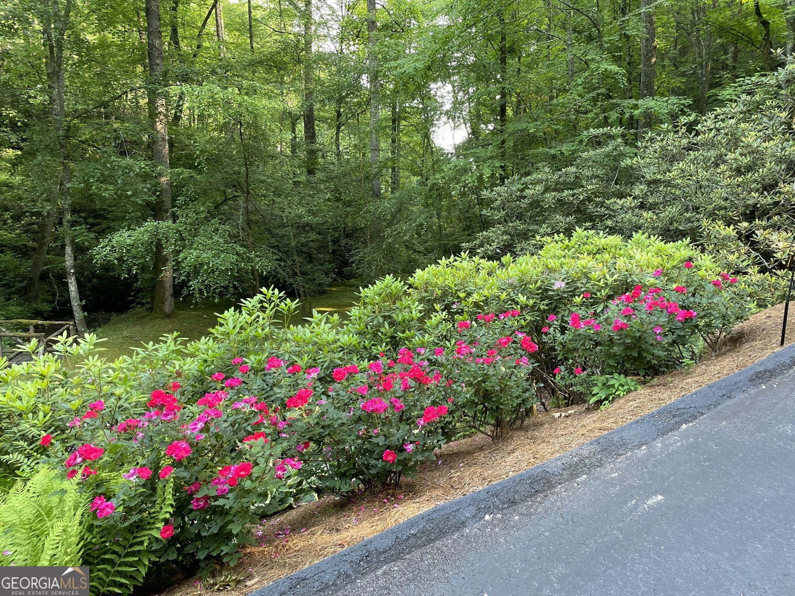 55 Wood Valley Road Scaly Mtn - 27