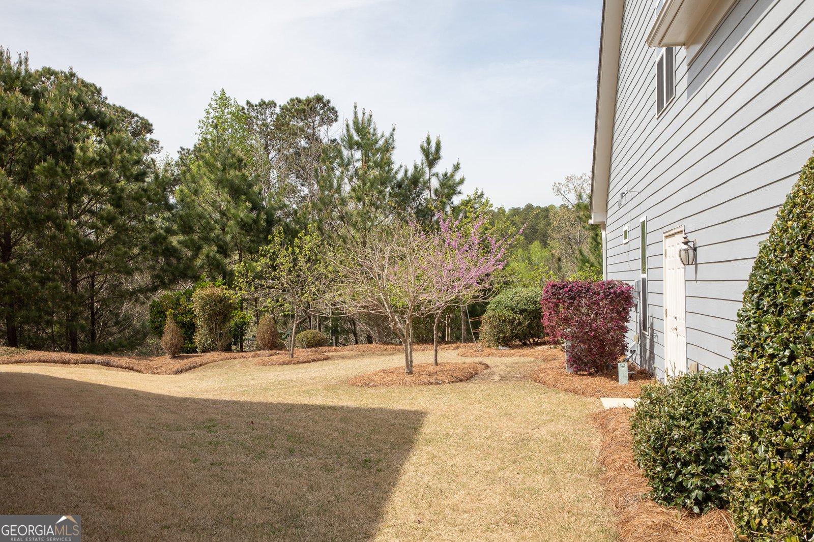 3561 Black Cherry Point Gainesville - 2